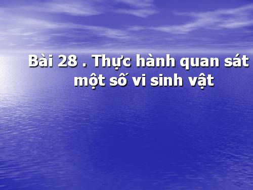 Bài 28. Thực hành: Quan sát một số vi sinh vật