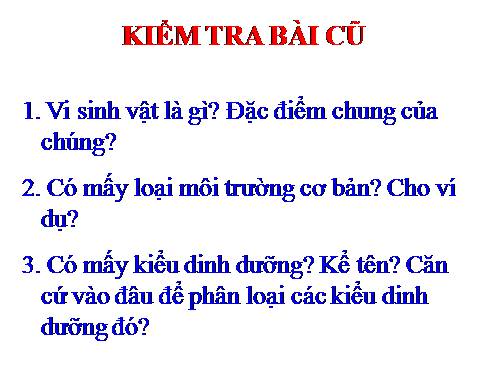 Bài 23. Quá trình tổng hợp và phân giải các chất ở vi sinh vật