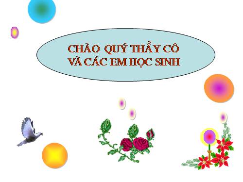 Bài 23. Quá trình tổng hợp và phân giải các chất ở vi sinh vật