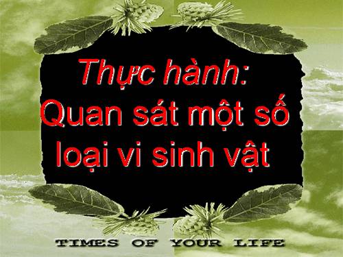 Bài 28. Thực hành: Quan sát một số vi sinh vật