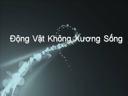 Động vật không xương sống