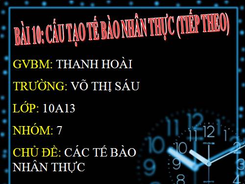 Bài 10. Tế bào nhân thực (tiếp theo)