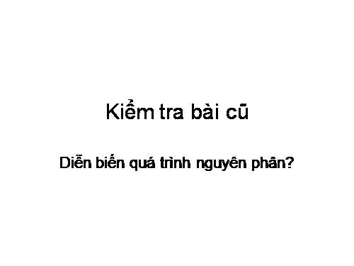 Bài 19. Giảm phân