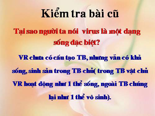 Bài 30. Sự nhân lên của virut trong tế bào chủ