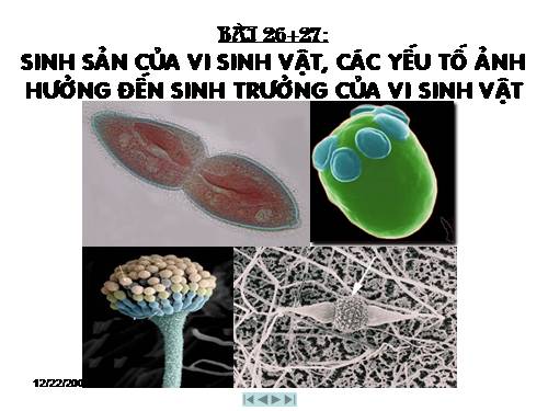 Bài 26. Sinh sản của vi sinh vật