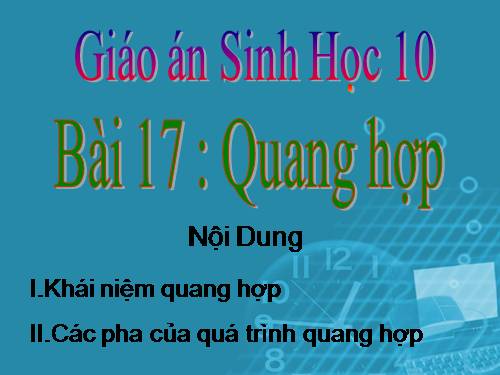 Bài 17. Quang hợp