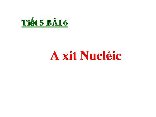 Bài 6. Axit nuclêic