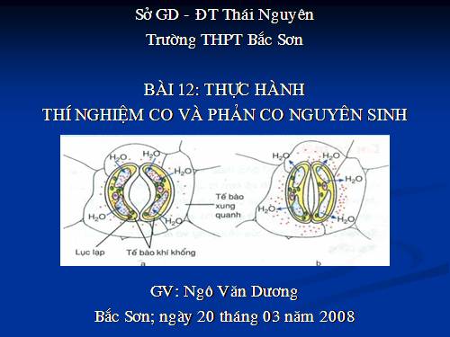 Bài 12. Thực hành: Thí nghiệm co và giảm co nguyên sinh