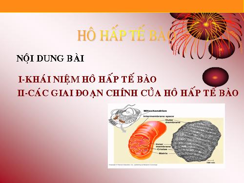 Bài 16. Hô hấp tế bào