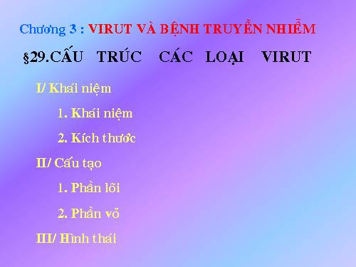 Bài 29. Cấu trúc các loại virut