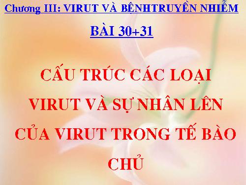 Bài 29. Cấu trúc các loại virut