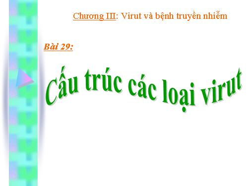 Bài 29. Cấu trúc các loại virut