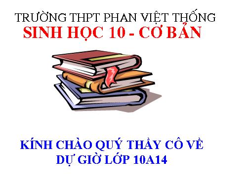 Bài 29. Cấu trúc các loại virut