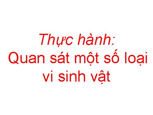 Bài 28. Thực hành: Quan sát một số vi sinh vật