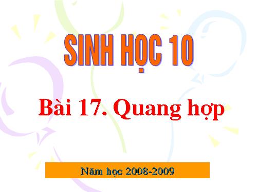 Bài 17. Quang hợp