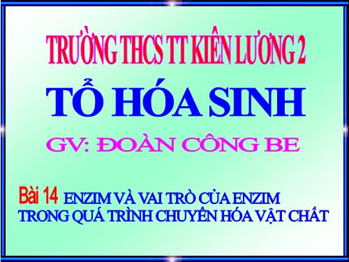 Bài 14. Enzim và vai trò của enzim trong quá trình chuyển hóa vật chất