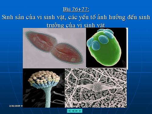 Bài 26. Sinh sản của vi sinh vật