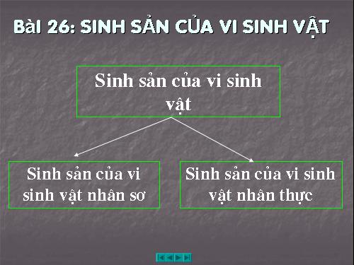 Bài 26. Sinh sản của vi sinh vật