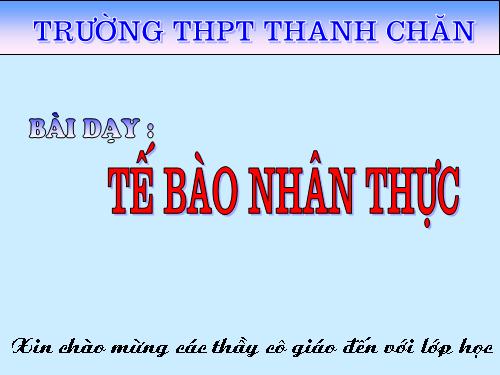 Bài 8. Tế bào nhân thực