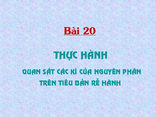 Bài 20. Thực hành: Quan sát các kỳ của nguyên phân trên tiêu bản rễ hành