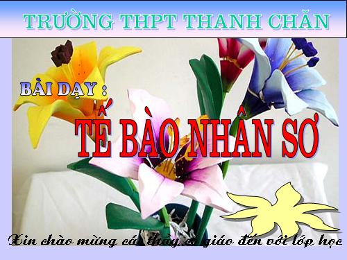 Bài 7. Tế bào nhân sơ