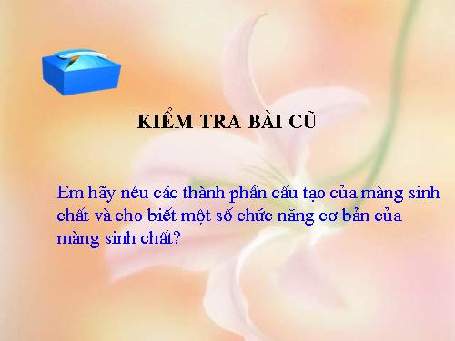 Bài 11. Vận chuyển các chất qua màng sinh chất