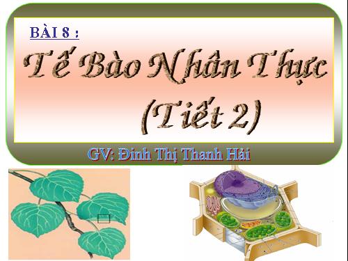 Bài 9. Tế bào nhân thực (tiếp theo)