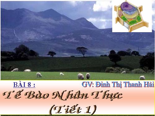 Bài 8. Tế bào nhân thực