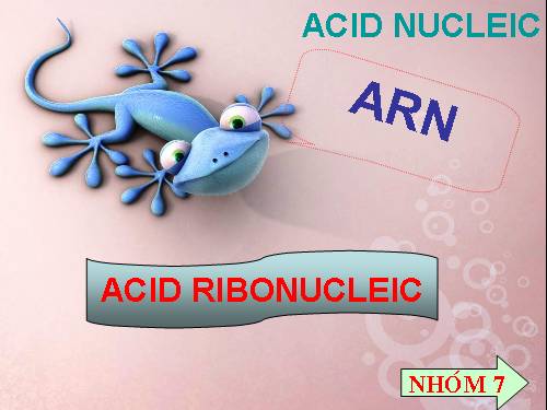 axit nucleic