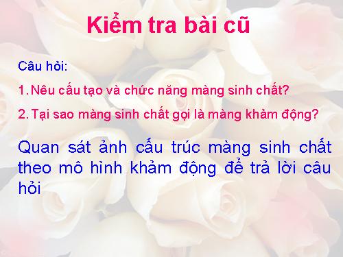 Bài 11. Vận chuyển các chất qua màng sinh chất