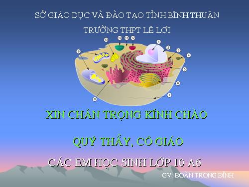 Bài 9. Tế bào nhân thực (tiếp theo)