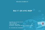 Bài 17. Quang hợp