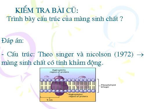 Bài 11. Vận chuyển các chất qua màng sinh chất