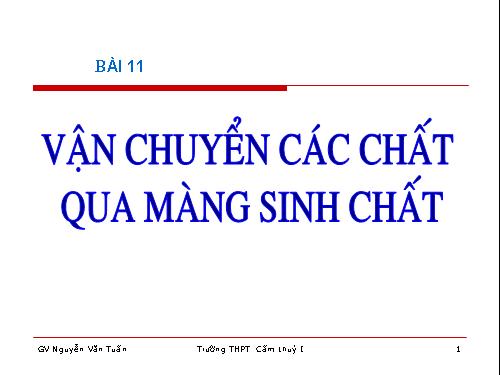 Bài 11. Vận chuyển các chất qua màng sinh chất