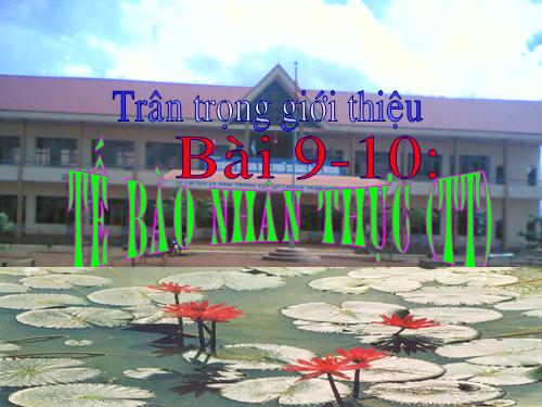 Bài 9. Tế bào nhân thực (tiếp theo)