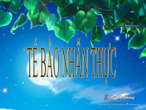 Bài 8. Tế bào nhân thực