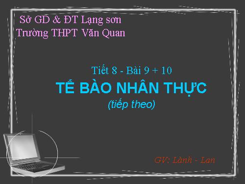 Bài 9. Tế bào nhân thực (tiếp theo)