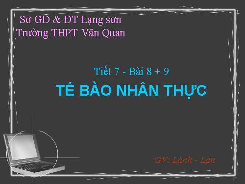 Bài 8. Tế bào nhân thực