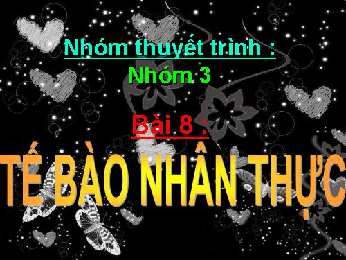 Bài 8. Tế bào nhân thực