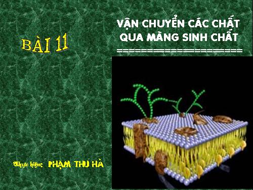 Bài 11. Vận chuyển các chất qua màng sinh chất