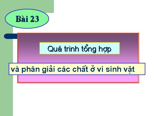 Bài 23. Quá trình tổng hợp và phân giải các chất ở vi sinh vật