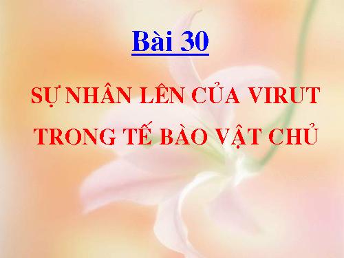 Bài 30. Sự nhân lên của virut trong tế bào chủ