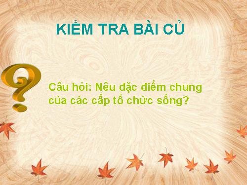 Bài 2. Các giới sinh vật