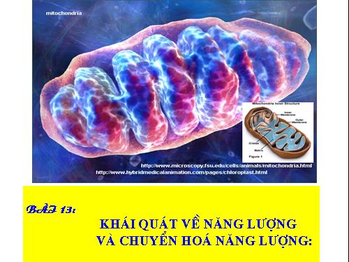 Bài 13. Khái niệm về năng lượng và chuyển hóa vật chất