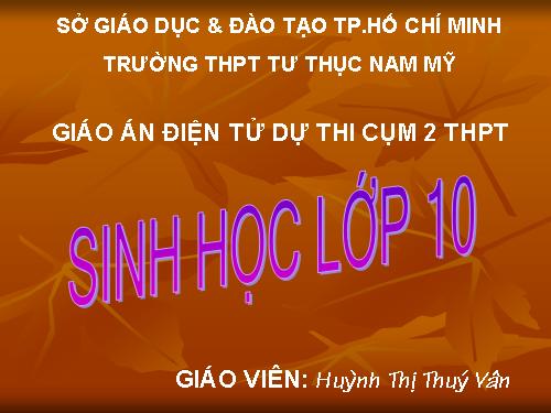 Bài 2. Các giới sinh vật