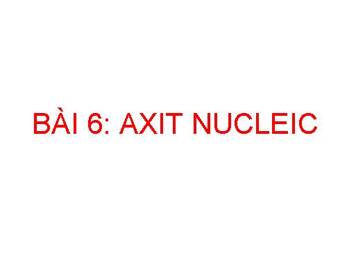 Bài 6. Axit nuclêic