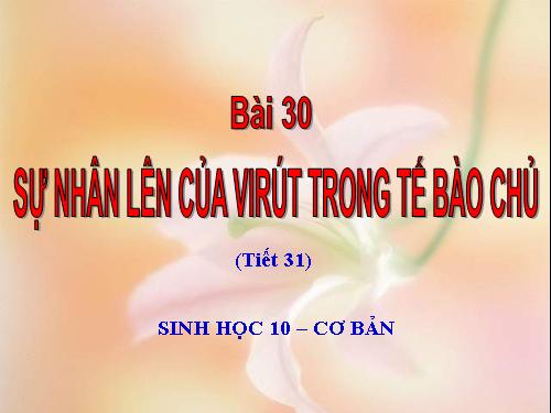 Bài 30. Sự nhân lên của virut trong tế bào chủ