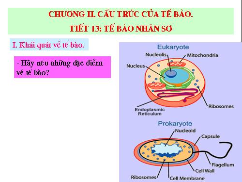 Bài 7. Tế bào nhân sơ