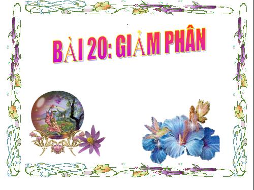 Bài 19. Giảm phân