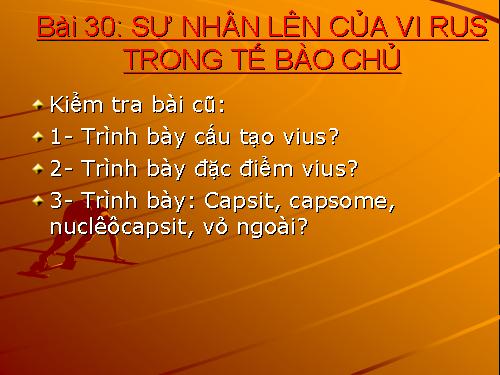 Bài 30. Sự nhân lên của virut trong tế bào chủ